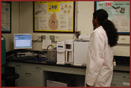 gas chromatography