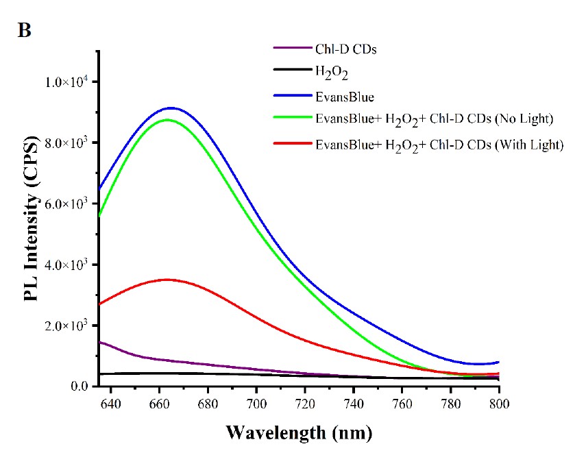 chl-cds-h2o2