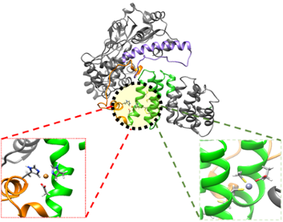 Huntington’s Disease Lab Sample