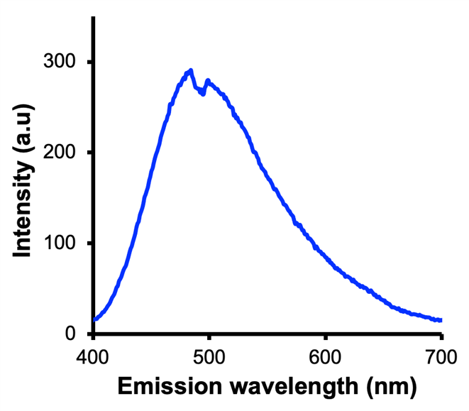 Fig2 pg24