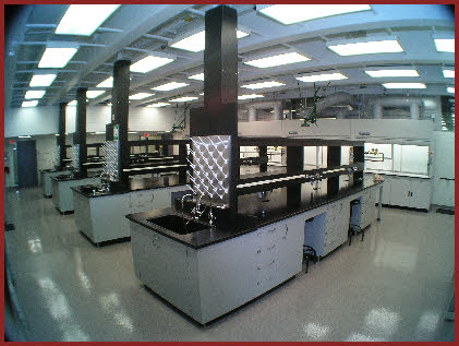 lab
