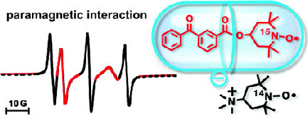 an erp and nmr