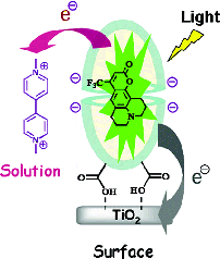 Photoinduced electron transfer