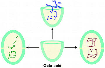 nature of supramolecular