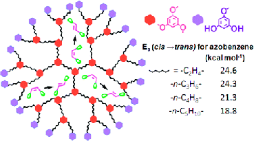 Dynamic internal cavities of dendrimers as constrained media